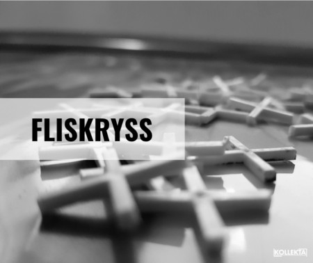 FLISKRYSS