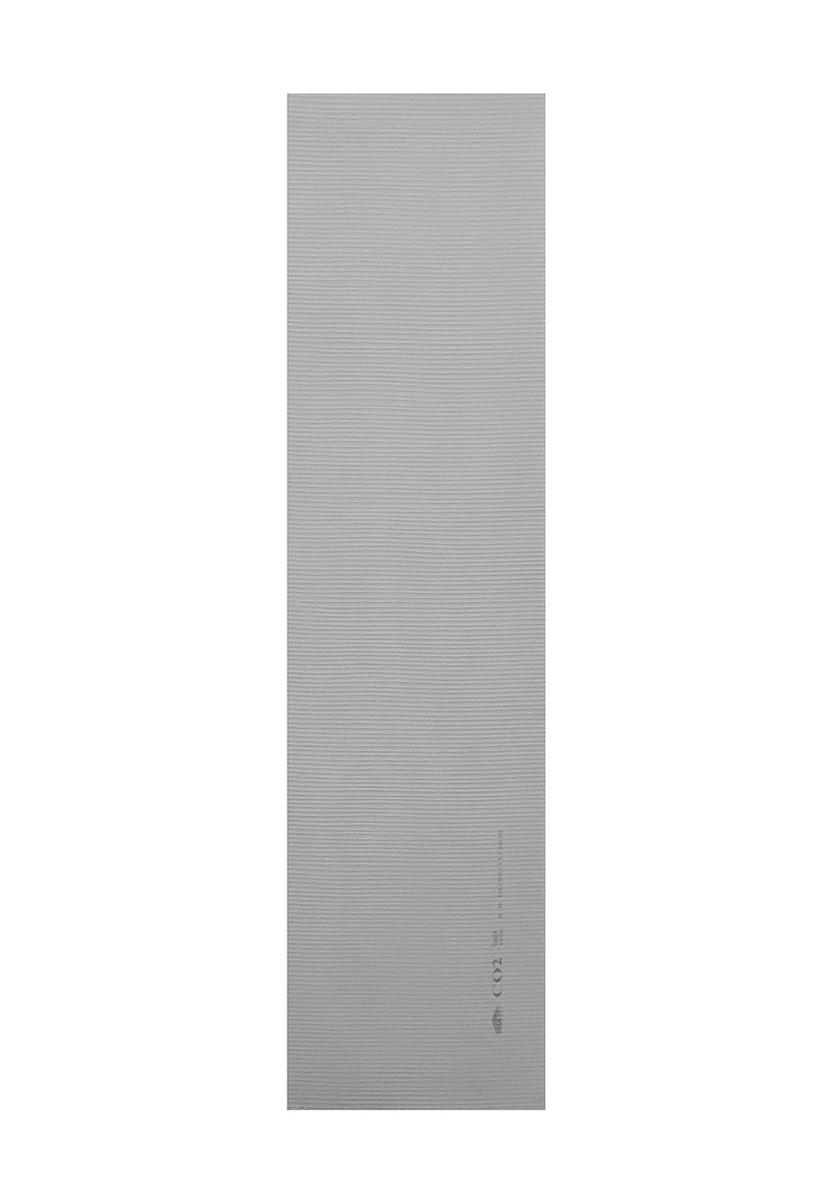 BACboard Basic Våtromsplate (60x244CM)#